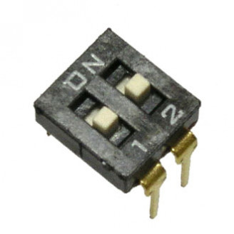 DS2-02 DS2-02