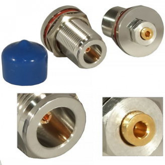 N-F137Q N-F137Q